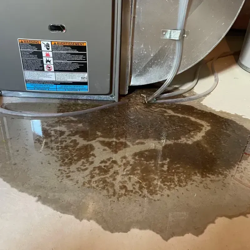 Appliance Leak Cleanup in Plymouth, ME